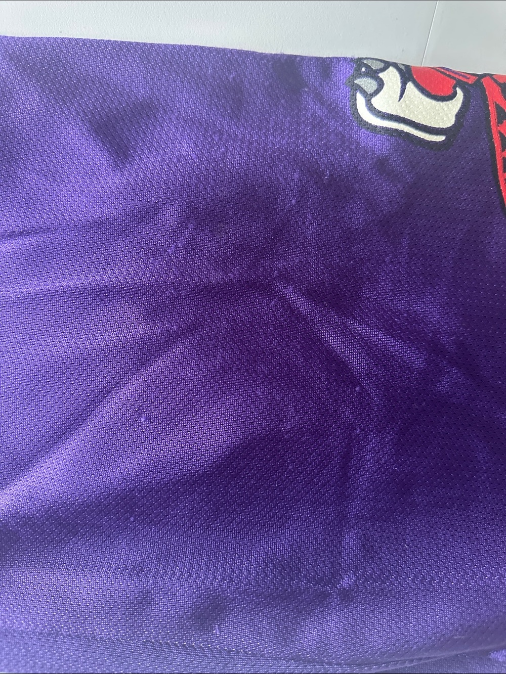 Z—Champion Purple Mesh Basketball Jersey with Red Accent - Picture 13 of 16
